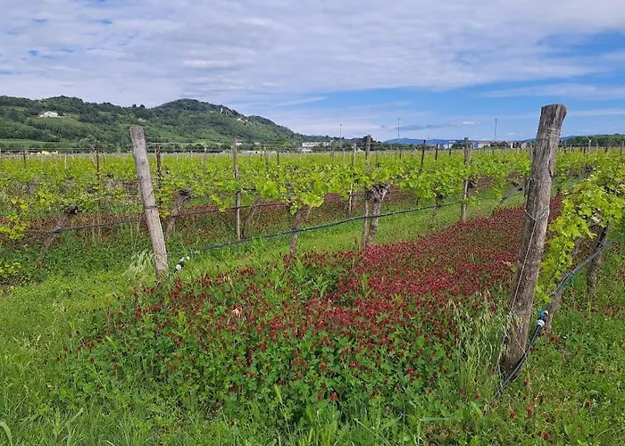 Agriturismo Casa Riz